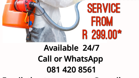 THE STORM GROUP Cleaning & Sanitation Division