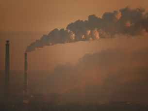 Delhi Pollution Hack: Create a Natural Air Filter at Home Using Phooldaan Planters