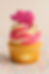 Circus Animal Cookies image