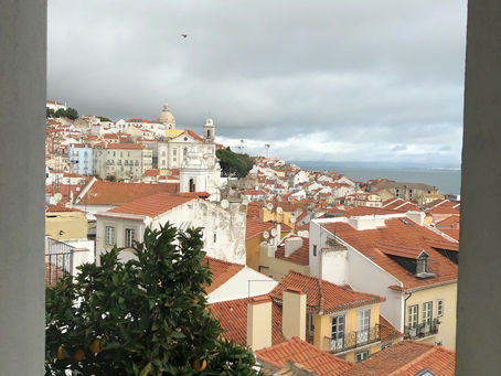 December 2021: Jane and Dena's excellent Portugal adventure