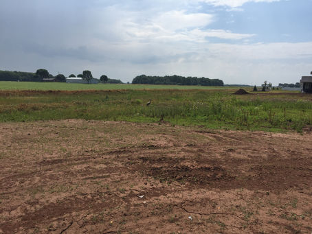 Summer 2019: More of the home on the range