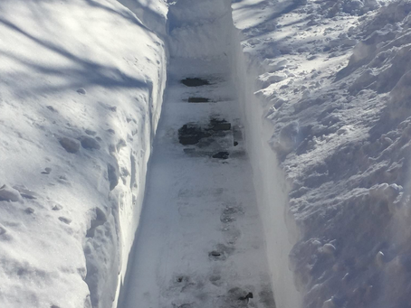 January 24, 2019: Deep snow