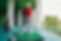 AdobeStock_386618432.jpeg