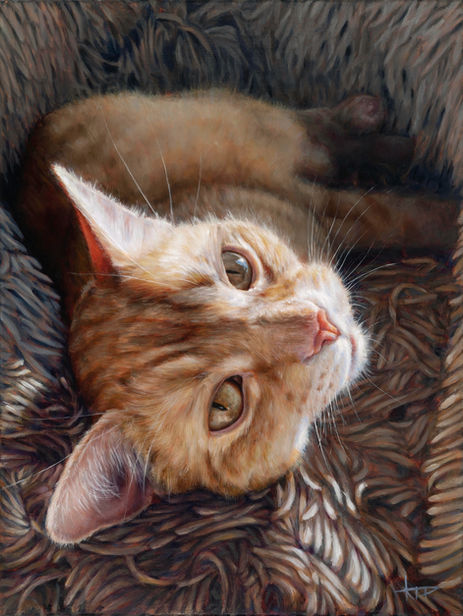 Custom pet portrait oil painting of an orange cat laying on a shag rug by Raleigh, NC artist Katie Pena.