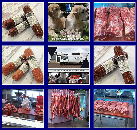 Dog center en visite chez Hunters Home