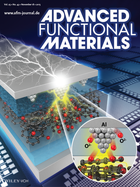Research Direct Observation of Conducting Nanofilaments in Graphene-Oxide-Resistive Switching Memory