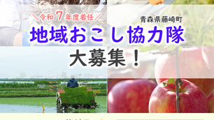【再募集】令和7年度着任青森県藤崎町地域おこし協力隊を募集します!