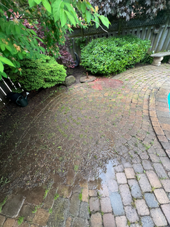 Interlock walkway before pressure washing in Oakville Ontario showing dirt buildup dull surface and surface staining prior to cleaning