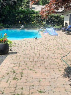 Interlock pool patio before sealing in Oakville Ontario showing heavy weed growth faded pavers and joint erosion prior to restoration