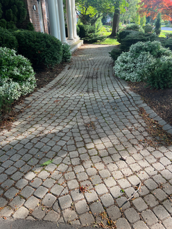 Interlock walkway before polymeric sanding in Oakville Ontario showing joint erosion debris buildup and organic material between pavers