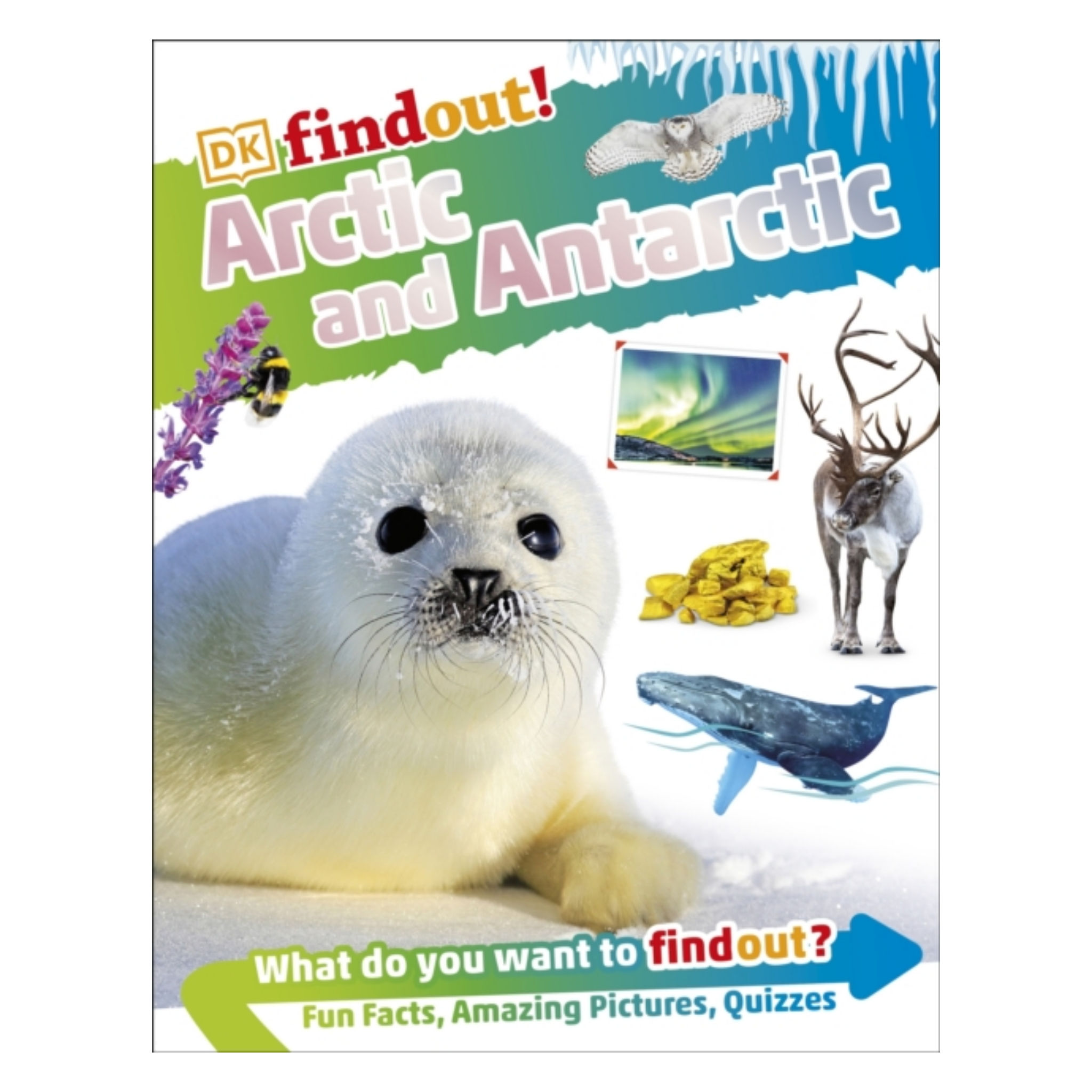 DKFindout! Arctic and Antarctic