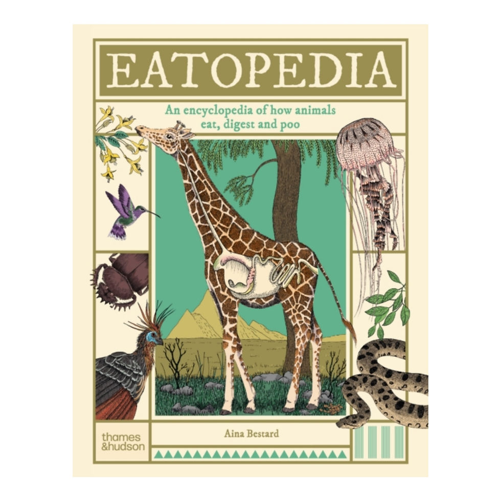 Eatopedia : An Encyclopedia of How Animals Eat, Digest and Poo - Aina Bestard