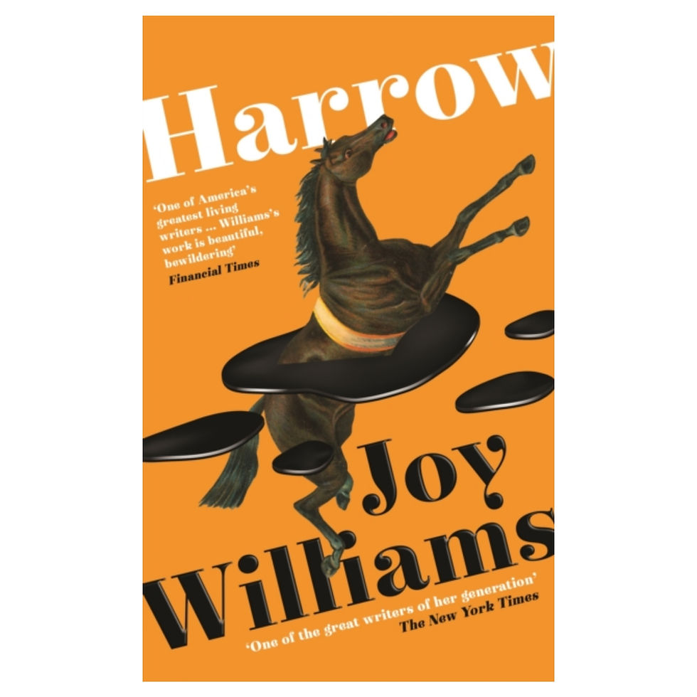 Harrow - Joy Williams