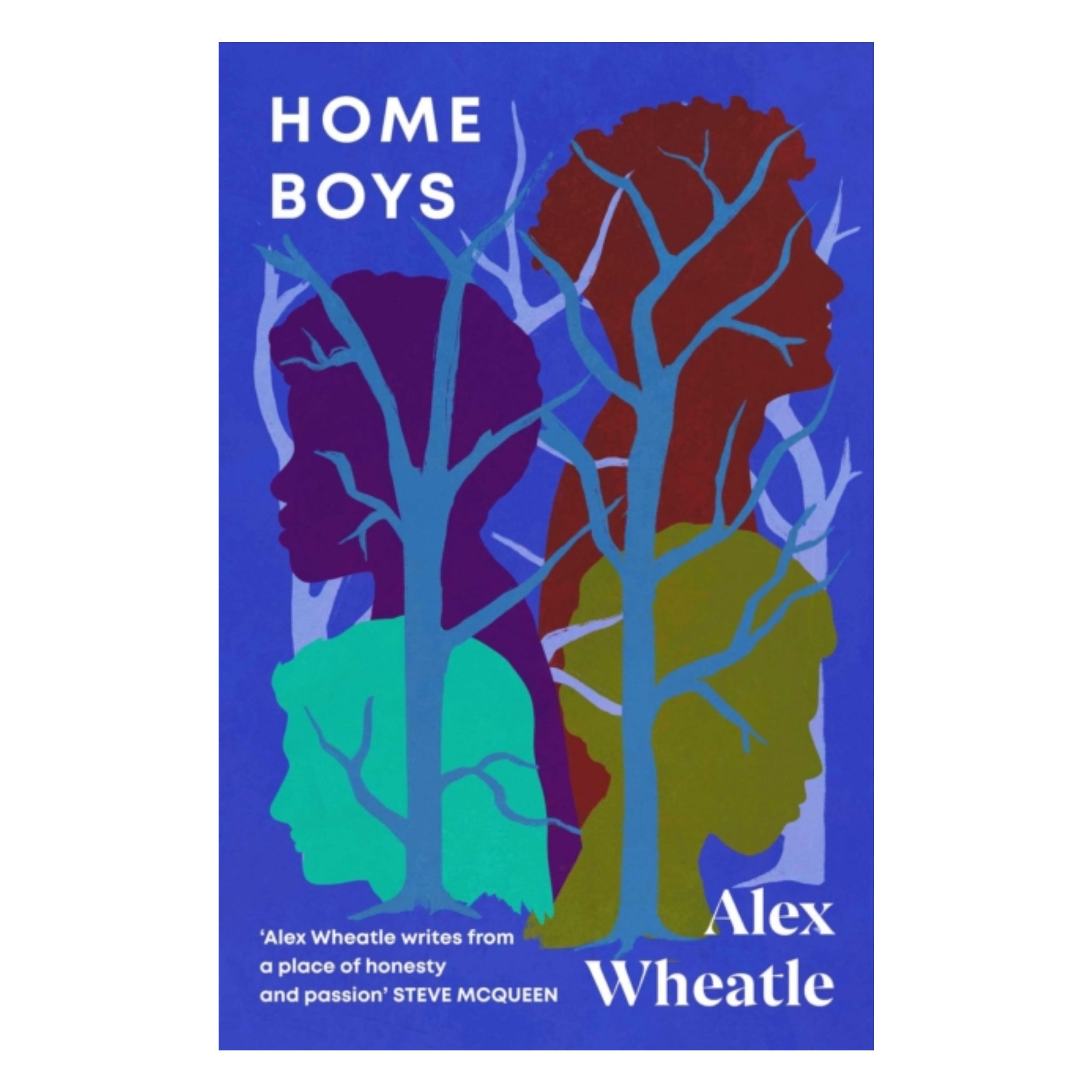 Home Boys - Alex Wheatle
