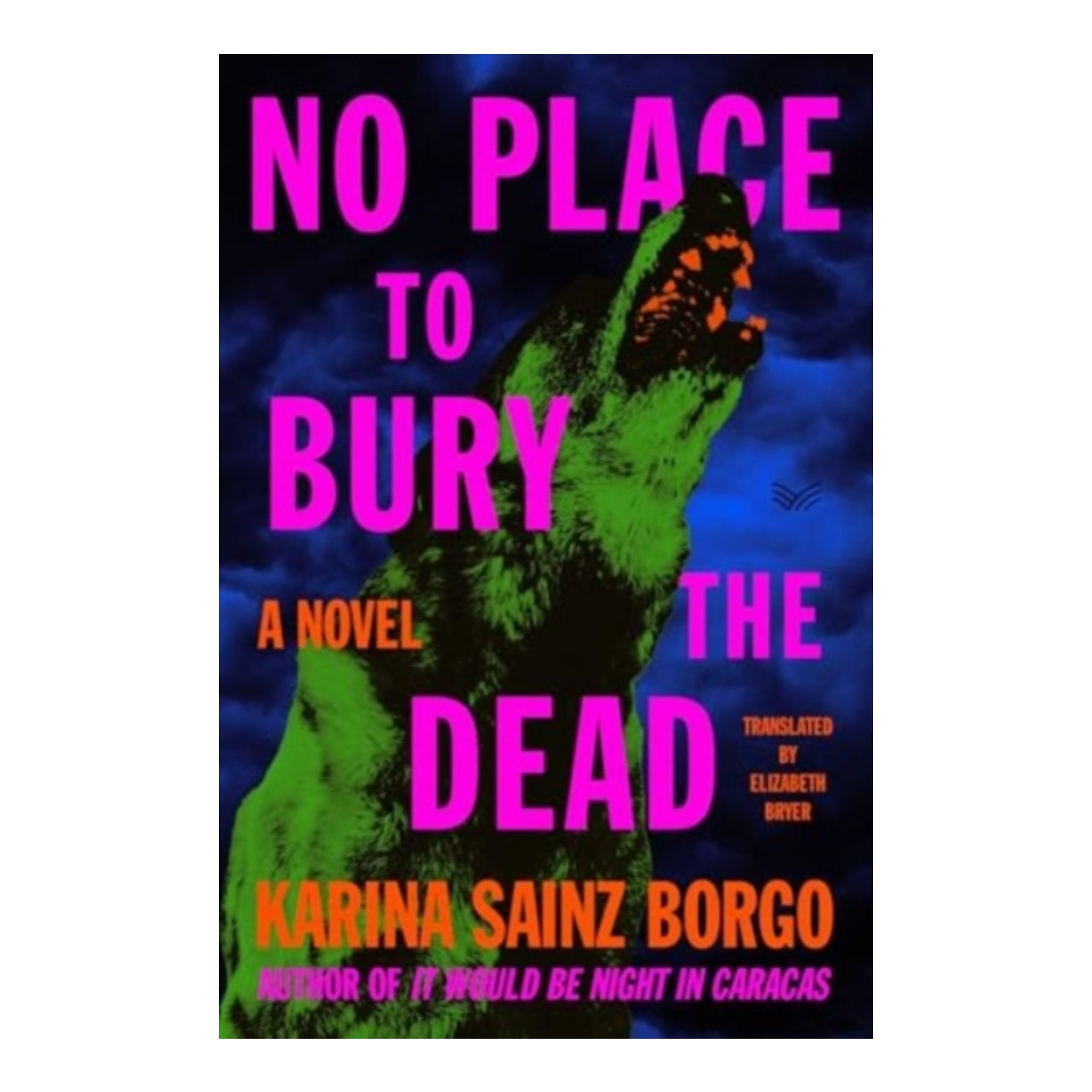 No Place to Bury the Dead : A Novel - Karina Sainz Borgo