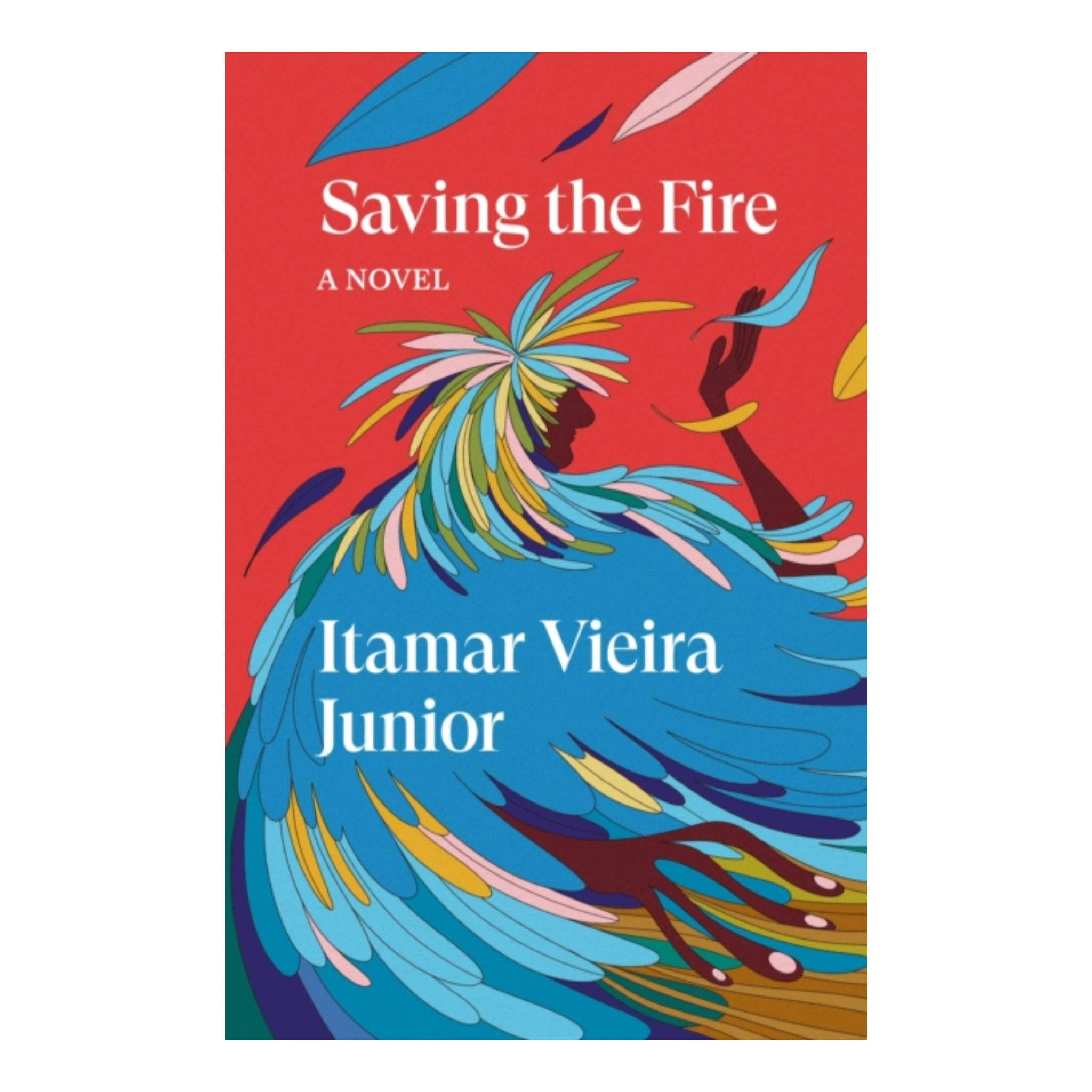 Saving the Fire : A Novel - Itamar Vieria Junior