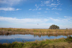 IMG_3399 copy