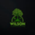 WILSON LOGO JPG.jpg
