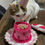 Miniatura: Pasteles para gatos