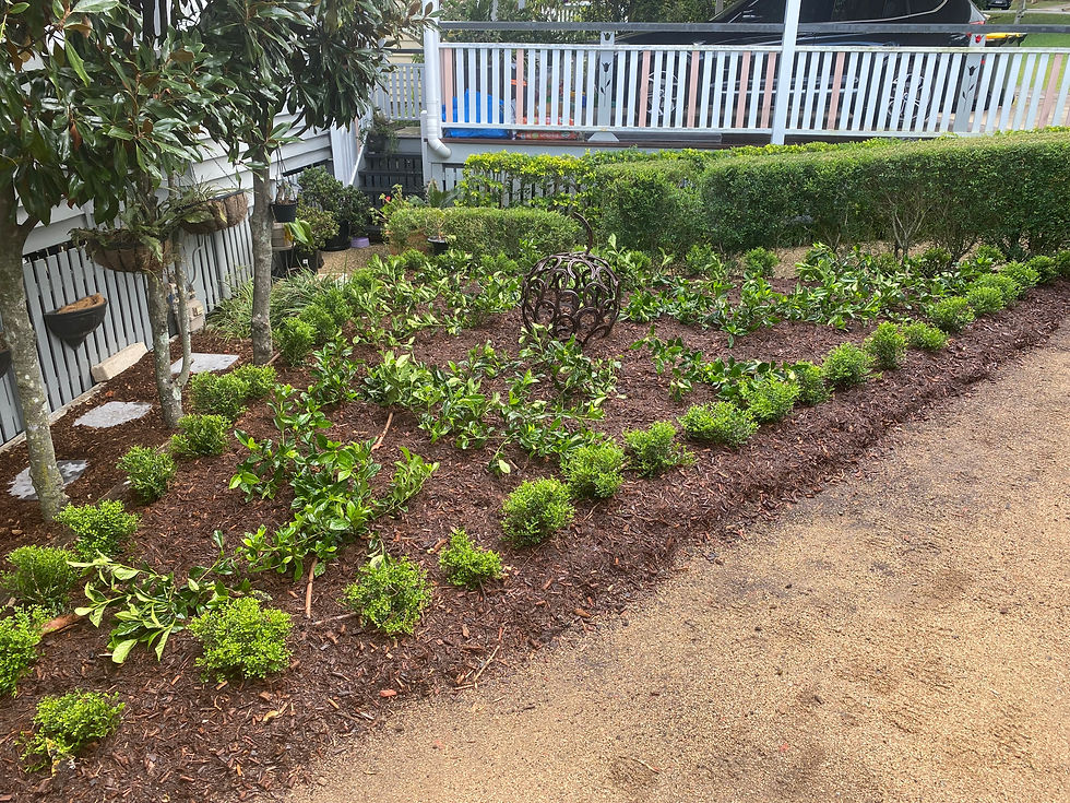 Front garden