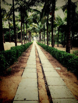 Check out travel