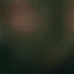 The Exploited e Ratos de Porão confirmam mais dois shows juntos no Brasil em 2025