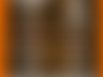 SUMMER BREEZE OPEN AIR - TUDO O QUE VOCÊ PRECISA SABER SOBRE A PRIMEIRA EDIÇÃO DO FESTIVAL NO BRASIL