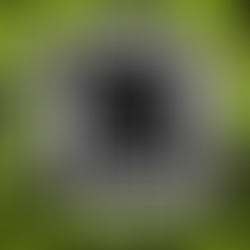 RIFFS & REALMSNUCLEAR BLAST RECORDS LANÇA NOVA SÉRIE DE RPG DE MESA