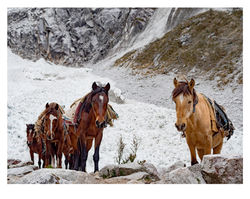 huaraz_27