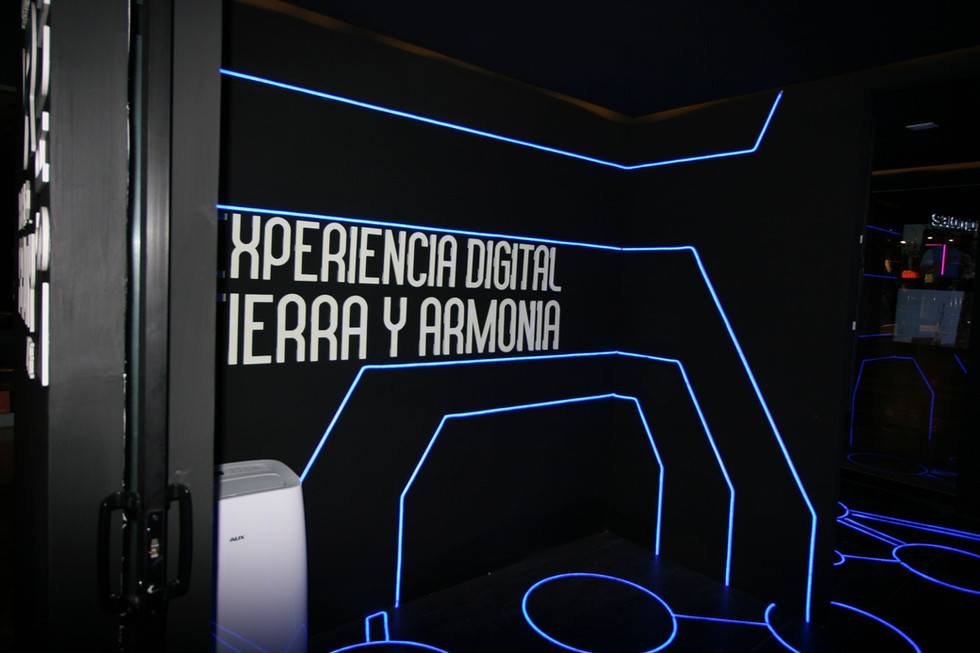 TyA_Experiences - 45.jpeg