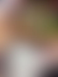 浦和学院高校に行ってきました。