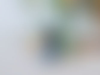 Essential Oils - how to buy and how to use