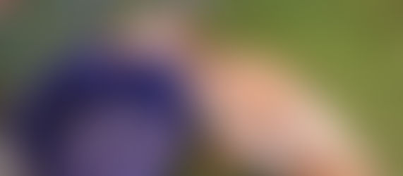 Longbottom Bird Rescue