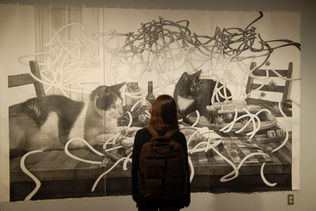 Professional development