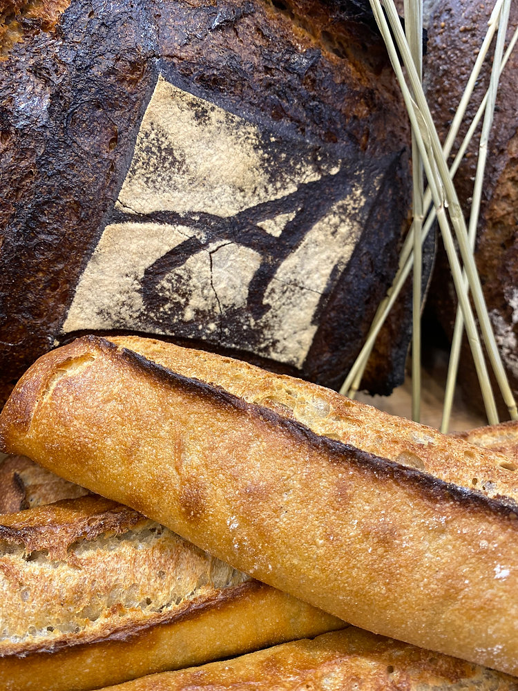 Astreïa les professionnels de la filière bléfarinepain