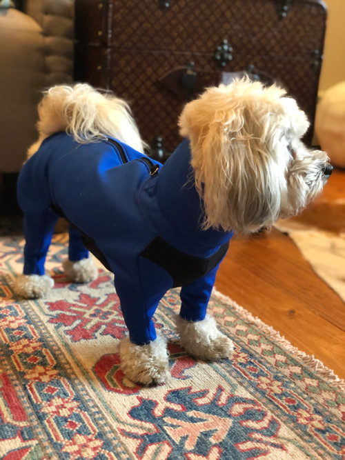 long sleeve dog jacket