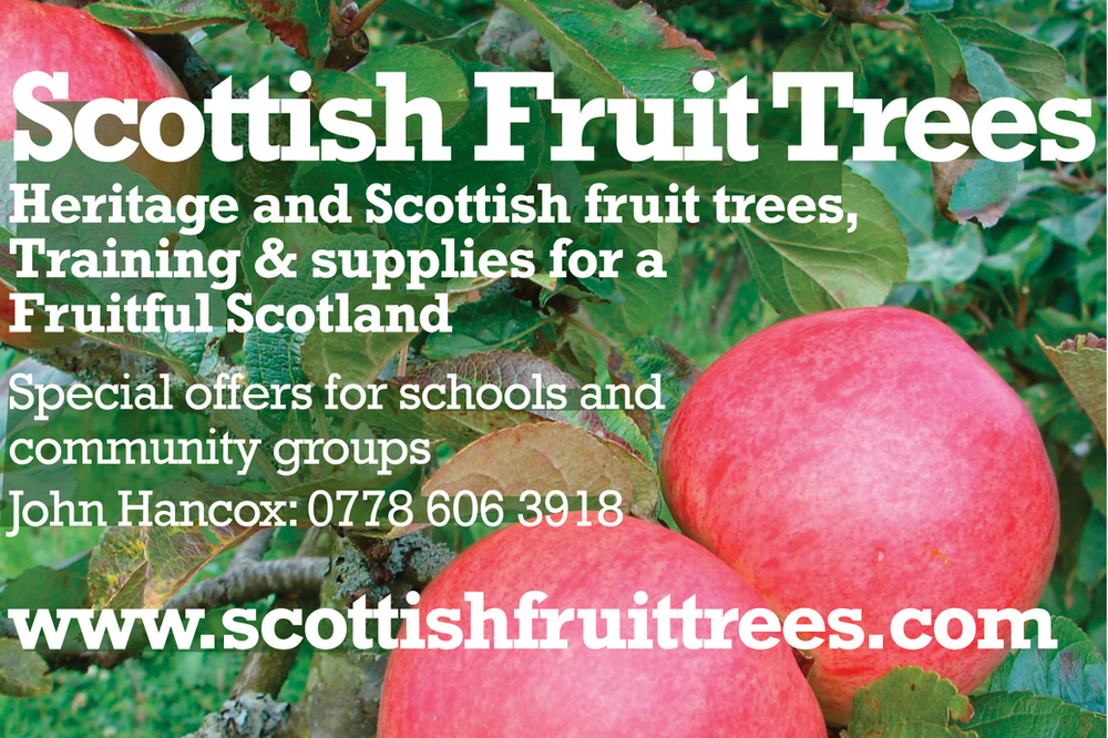 Fruit trees for schools and nursery schools