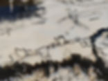a little bird told me.jpeg