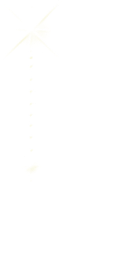 SPARKLE DANGLE.png