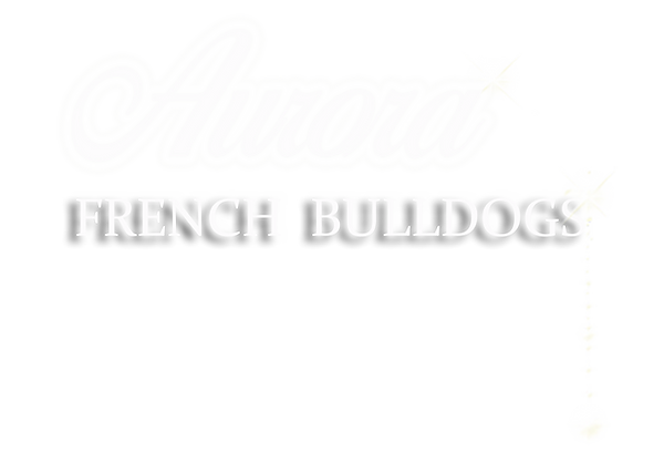 AURORA LOGO FINAL CROP.png
