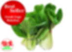 BESTSELLER - Bokchoy