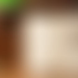 BOLETIM INFORMATIVO ABHL
Edição: Dezembro/2025 | Academia Brasileira de História e Literatura