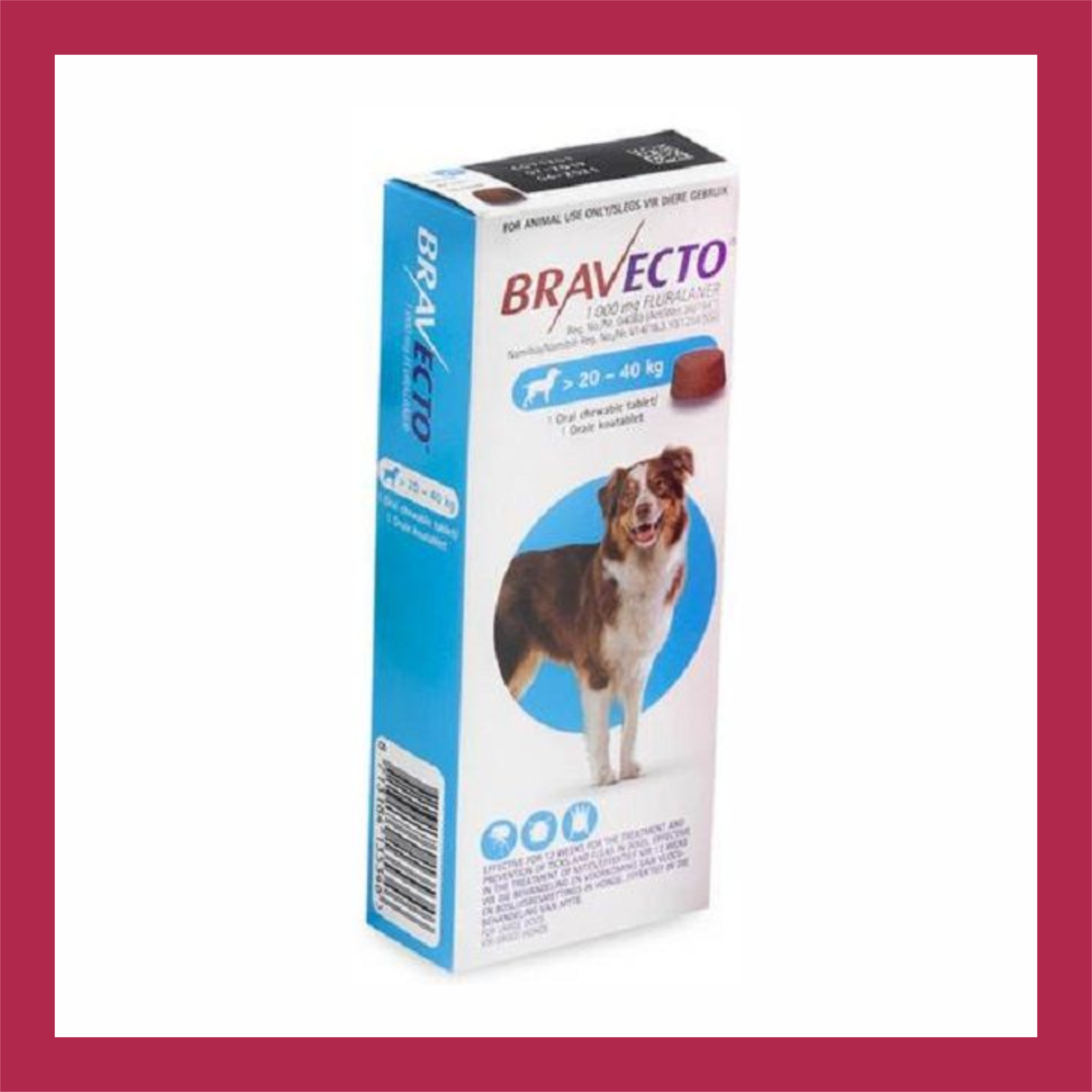 1 x BRAVECTO (3 month dose)