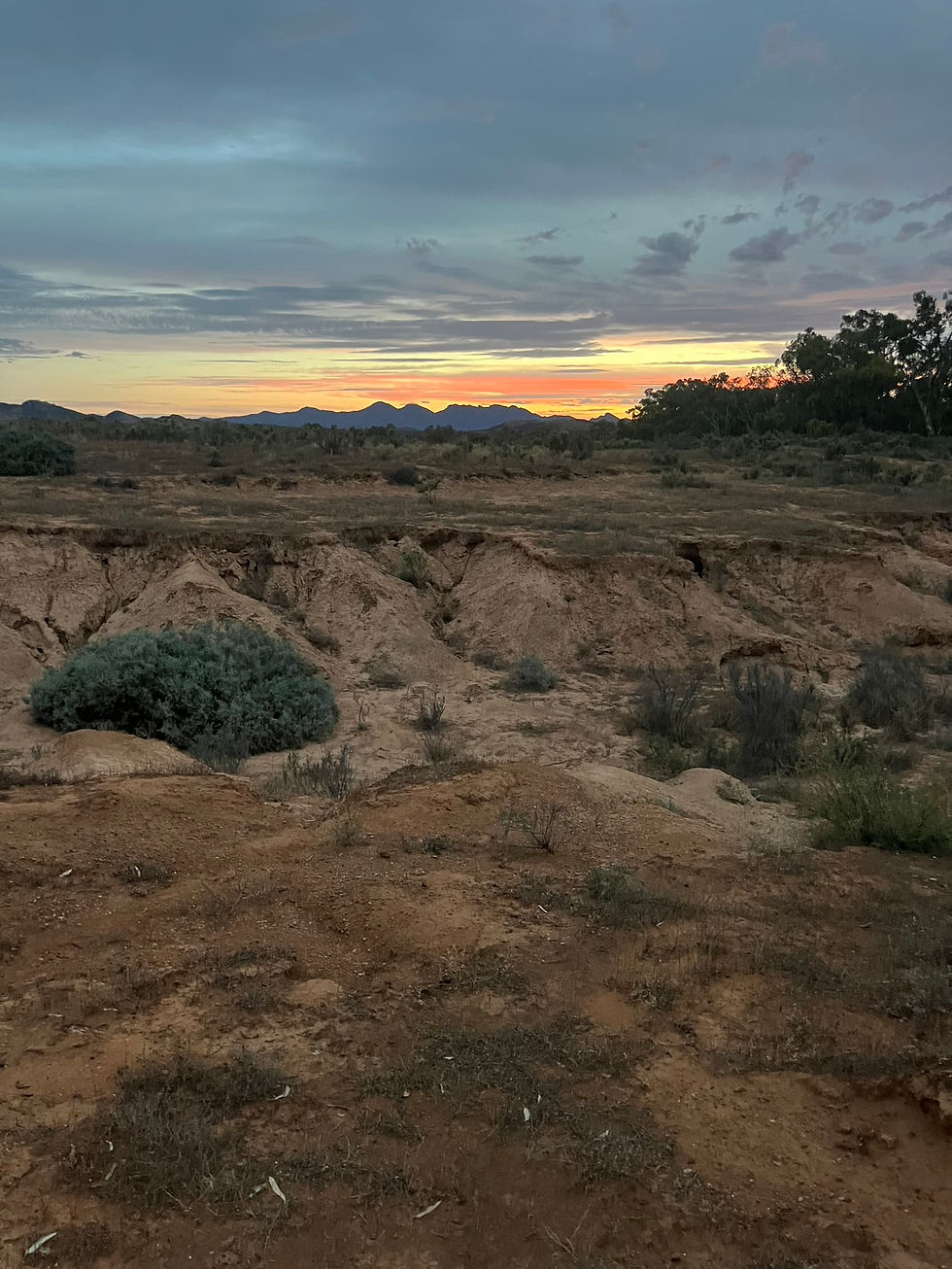 Sunset in the outback