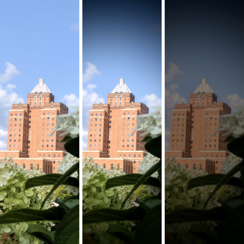 Ask Dr. Dave All About