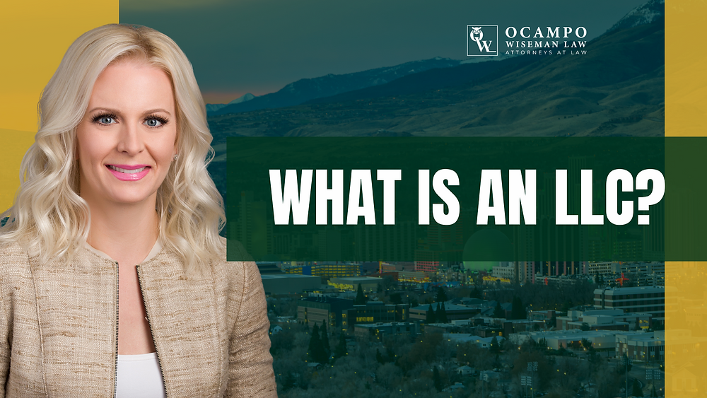 What is an (LLC) Limited Liability Company?
