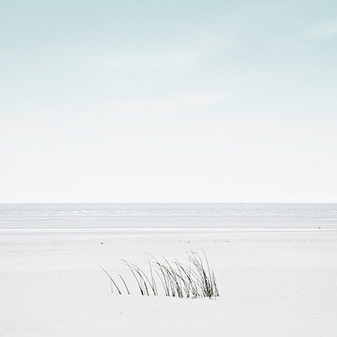 Blick auf das Meer vom Sandstrand mit ein paar Grashalmen. Hintergrundbild Gesprächstherapie.