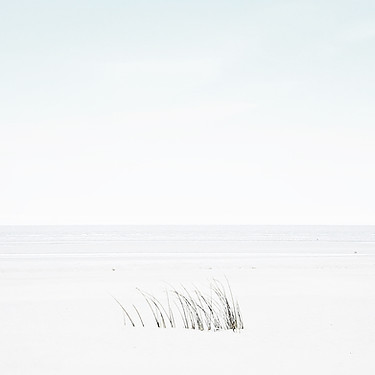 Blick auf das Meer vom Sandstrand mit ein paar Grashalmen. Hintergrundbild Gesprächstherapie.