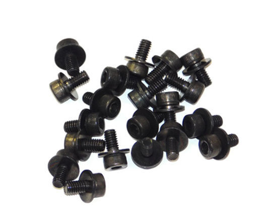 VS-640 Screw Set, Cap M4*8 3CBC+PW 20PCS - 31049169AS