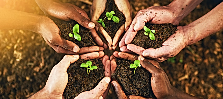 Cultivating Resilient Organizations - GESTALT AT WORK